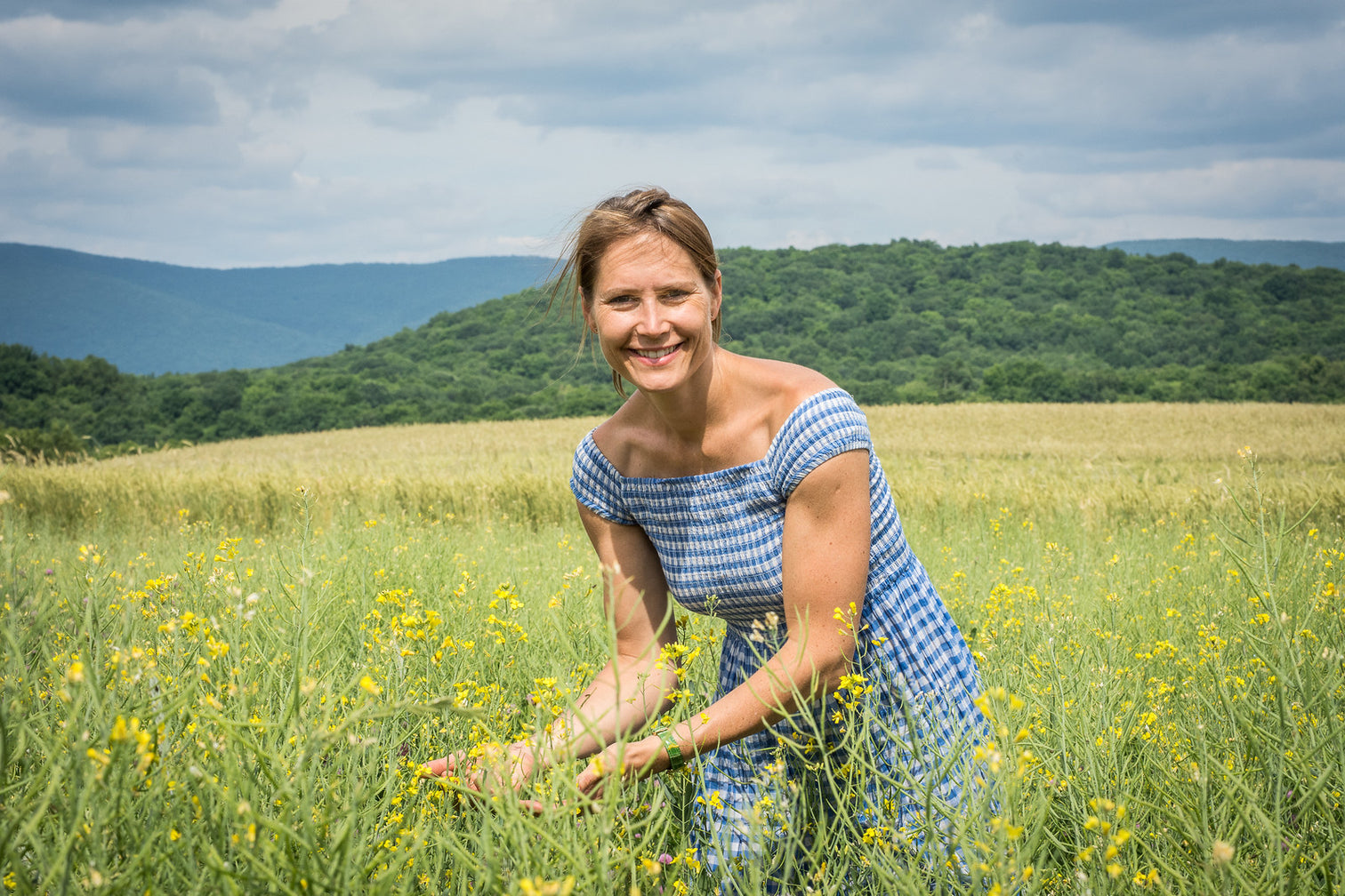 Ulrike Sitter harvesting in a flowering field